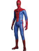Amazing Spider-Man - Limited Edition