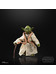 Star Wars Black Series - 40th Anniversary Yoda