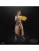 Star Wars Black Series - Bix Caleen