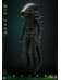Alien - Big Chap Movie Masterpiece - 1/6
