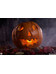 Halloween - Jack-O-Lantern Statue - 1/1