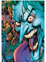 DC Comics - Joker Crazy Eyes puzzle (1000 pieces)