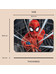 Marvel - Spider-Man Web Mouse Pad