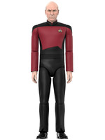 Star Trek: The Next Generation Ultimates - Captain Picard