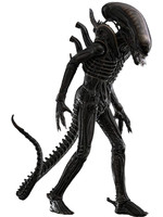 Alien - Big Chap Movie Masterpiece - 1/6 Alien - Big Chap Movie Masterpiece - 1/6